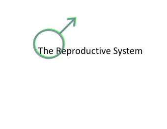 The Reproductive System The Male Reproductive System  Basic Functions  Production of sperm