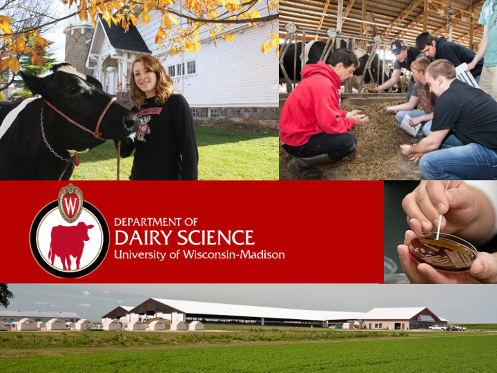 sample of current dairy science projects at cals