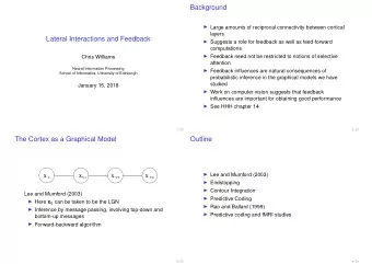 Background  Large amounts of reciprocal connectivity between cortical  layers  Lateral