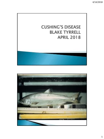 4/14/2018  1  4/14/2018  2  4/14/2018  General                        %  Neuropsych  %