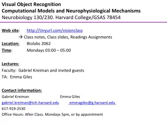 Visual Object Recognition  Computational Models and Neurophysiological Mechanisms  Neurobiology