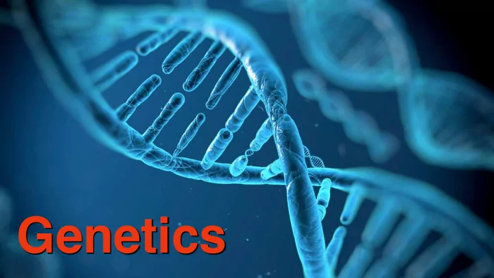 genetics 160 000 bullying lack of failure dopamine levels