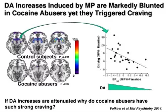 DA Increases Induced by MP are Markedly Blunted in Cocaine Abusers yet they Triggered Craving  13%