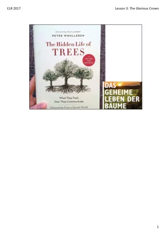 ELR 2017 Lesson 3: The Glorious Crown  1 ELR 2017 Lesson 3: The Glorious Crown From Roots to Trunk