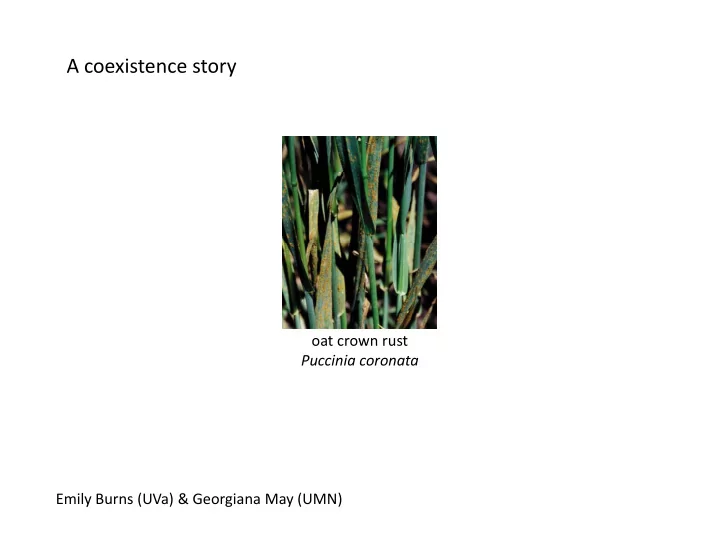a coexistence story