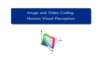 Image and Video Coding:  Human Visual Perception  Y  1  X  1  1  Z  The Human Eye / Structure of