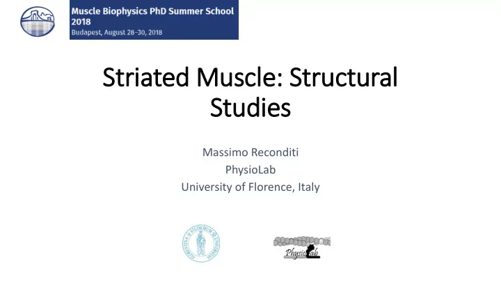 studie ies