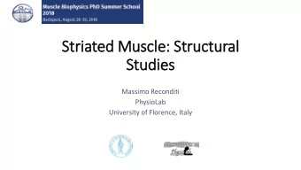 Studie  ies  Massimo Reconditi  PhysioLab  University of Florence, Italy  Just look at the thing!