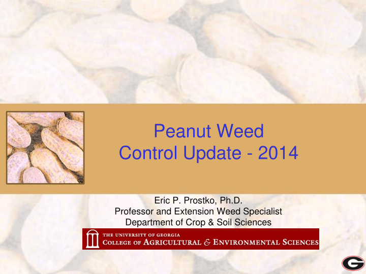 peanut weed