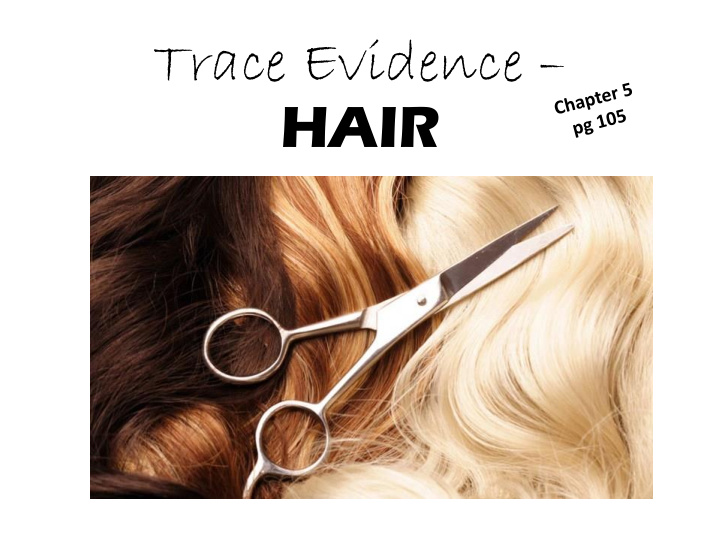 trace evidence hair cortex medulla cuticle human hair