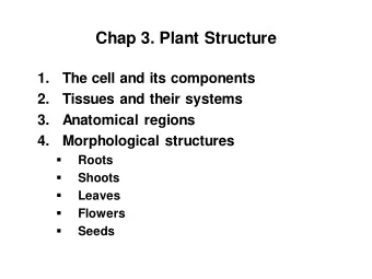 Chap 3. Plant Structure  1.  The cell and its components  2.  Tissues and their systems  3.