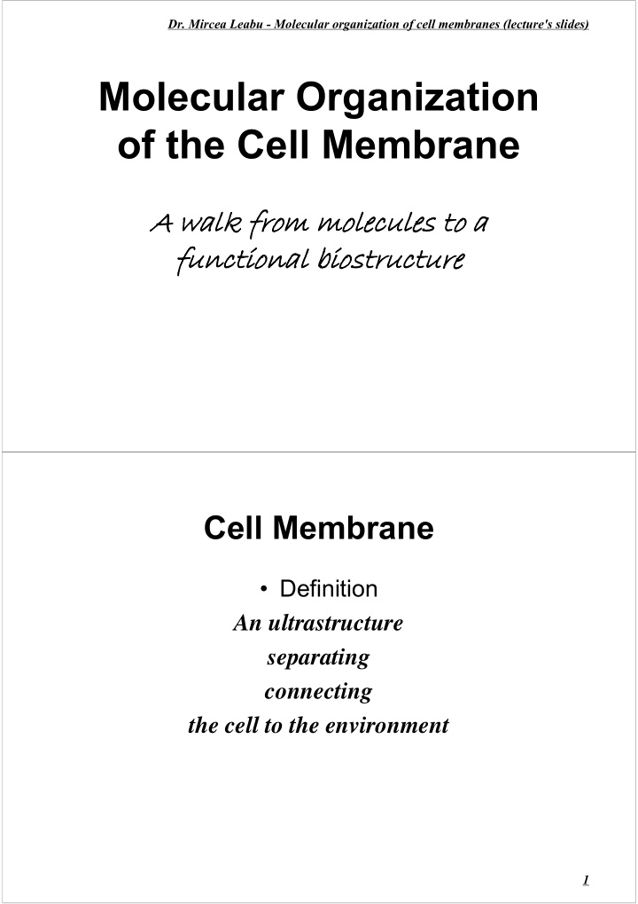 molecular organization of the cell membrane