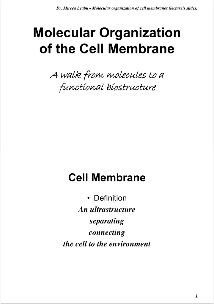 molecular organization of the cell membrane