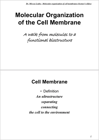 Molecular Organization  of the Cell Membrane  A walk from molecules to a  A walk from molecules to