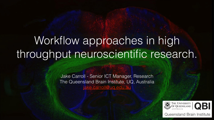 workflow approaches in high throughput neuroscientific