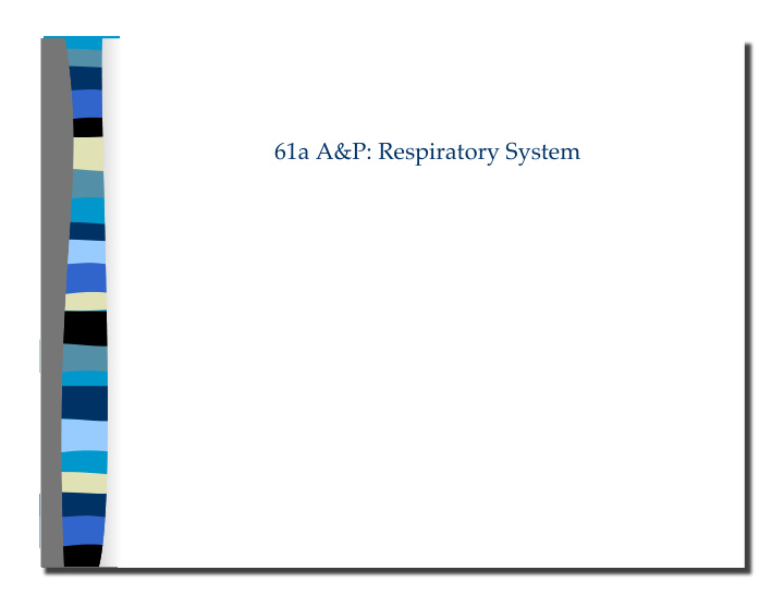 61a a amp p respiratory system 61a a amp p respiratory