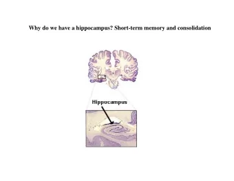 Why do we have a hippocampus? Short-term memory and consolidation So far we have talked about the