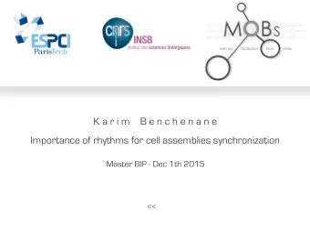 K a r i m    B e n c h e n a n e  Importance of rhythms for cell assemblies synchronization  Master