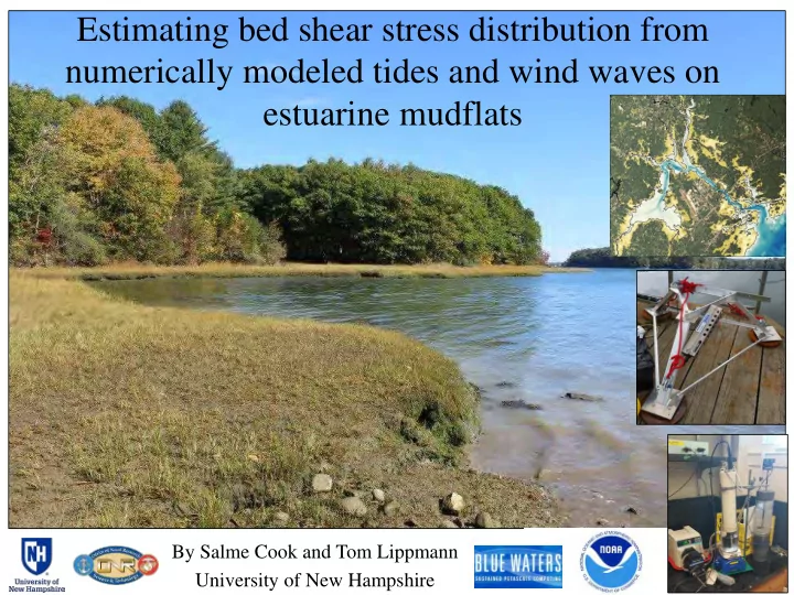 estimating bed shear stress distribution from numerically