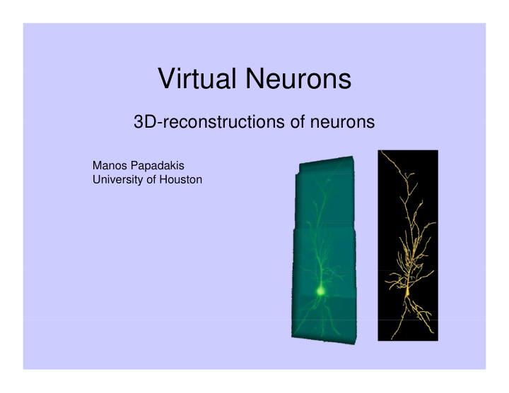 vi t virtual neurons l n