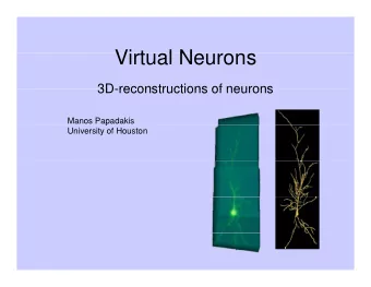 Vi t  Virtual Neurons  l N  3D reconstructions of neurons  3D-reconstructions of neurons  Manos