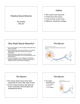 Outline  Why model neural networks?  Modeling Neural Networks  A brief look at the neuron.