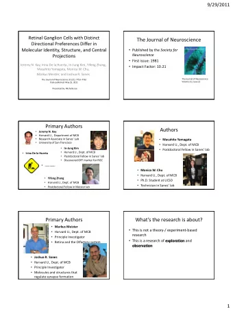The Journal of Neuroscience  Directional Preferences Differ in  Molecular Identity, Structure, and