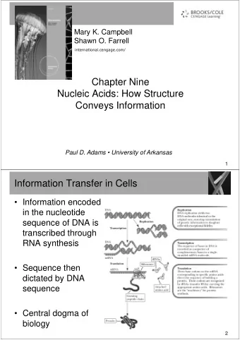 Chapter Nine  Nucleic Acids: How Structure  Conveys Information  Paul D. Adams  University of