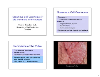 Squamous Cell Carcinoma  Squamous Cell Carcinoma of  Precursors  Squamous intraepithelial