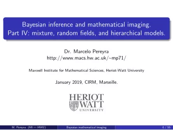 Bayesian inference and mathematical imaging.  Part IV: mixture, random fields, and hierarchical