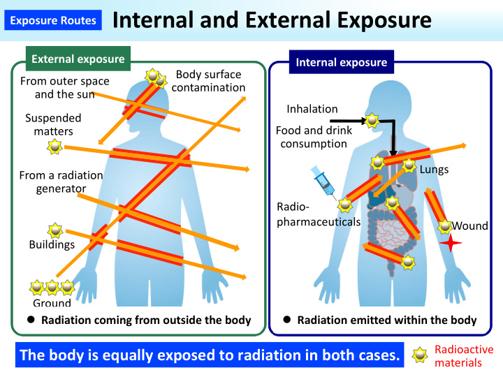 exposure routes internal and external exposure