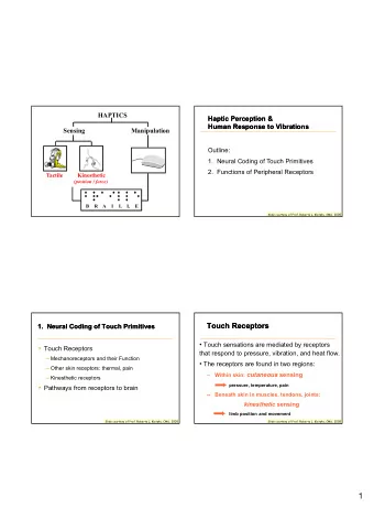 1  Classes of Receptors  Classes of Receptors  Skin Mechanoreceptors have specialized endings  Skin