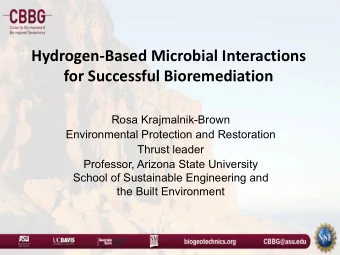 Hydrogen-Based Microbial Interactions  for Successful Bioremediation  Rosa Krajmalnik-Brown