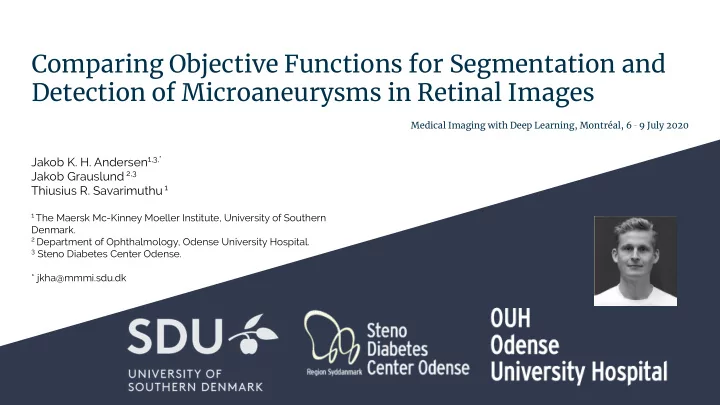 comparing objective functions for segmentation and