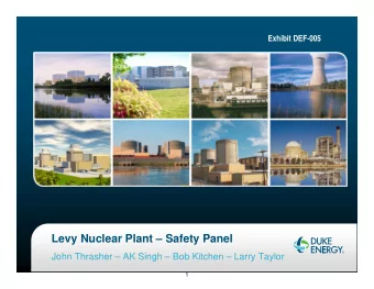 Levy Nuclear Plant  Safety Panel  John Thrasher  AK Singh  Bob Kitchen  Larry Taylor  1