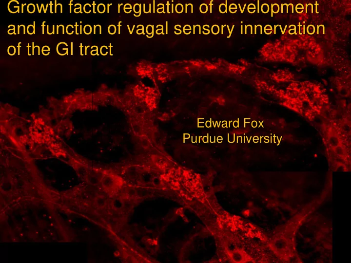 growth factor regulation of development growth factor