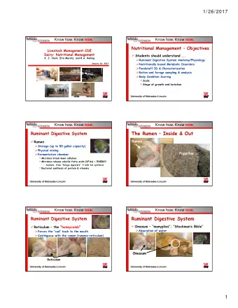 The Rumen  Inside &amp; Out  Ruminant Digestive System  Rumen  Rumen  Storage (up to 50