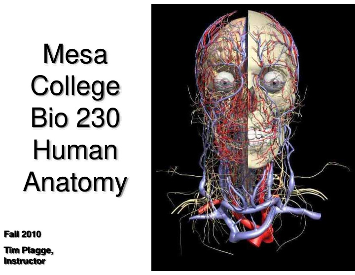 mesa college bio 230 human anatomy