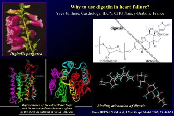 Why to use digoxin in heart failure?  Yves Juillire, Cardiology, ILCV, CHU Nancy-Brabois, France