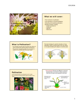 Landscaping   Building pollinator habitats  for Pollinators   Design considerations