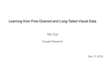 Learning from Fine-Grained and Long-Tailed Visual Data  Yin Cui  Google Research  Dec 11 2019
