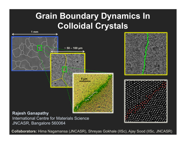 grain boundary dynamics in colloidal crystals
