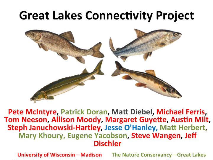 great lakes connec vity project