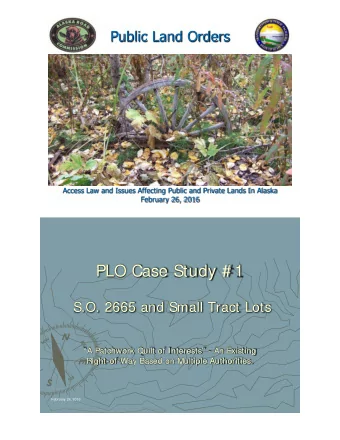 PLO Case Study # 1  S.O. 2665 and Small Tract Lots  A Patchwork Quilt of Interests - An