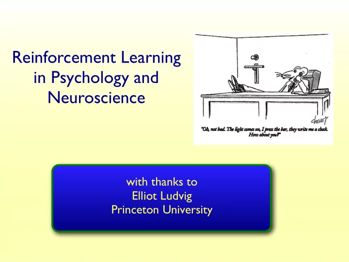 reinforcement learning in psychology and neuroscience