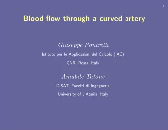 Blood flow through a curved artery  Giuseppe Pontrelli  Istituto per le Applicazioni del Calcolo