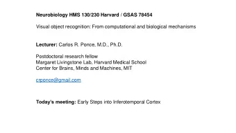 Neurobiology HMS 130/230 Harvard / GSAS 78454  Visual object recognition: From computational and