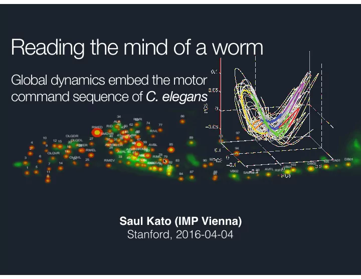 reading the mind of a worm
