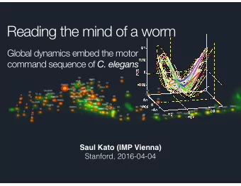 Reading the mind of a worm  0.1  Global dynamics embed the motor command sequence of C. elegans