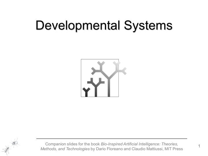 developmental systems